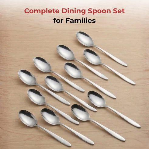 Vinod Florence Stainless Steel Dessert Spoon Set of 12 Piece Heavy Gauge Steel Mirror Finish Rust Free Tough Strong and Durable
