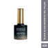 Shills Professional Black Glass Cat Magnetic Gel Polish
