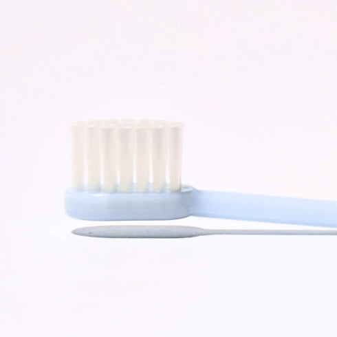Natuur Daito Tooth Brush Honeybee (Made in Japan )