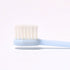 Natuur Daito Tooth Brush Honeybee (Made in Japan )