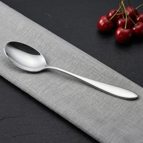 Vinod Florence Stainless Steel Baby Spoon Set of 12 Piece Heavy Gauge Steel Mirror Finish Rust Free Tough Strong and Durable