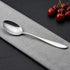 Vinod Florence Stainless Steel Baby Spoon Set of 12 Piece Heavy Gauge Steel Mirror Finish Rust Free Tough Strong and Durable