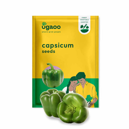 Ugaoo Capsicum Vegetable Seeds