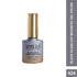 Shills Professional Black Glass Cat Magnetic Gel Polish