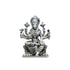 Pure Silver Antique Varahi Devi Sitting 31.68G By Mahita Collections