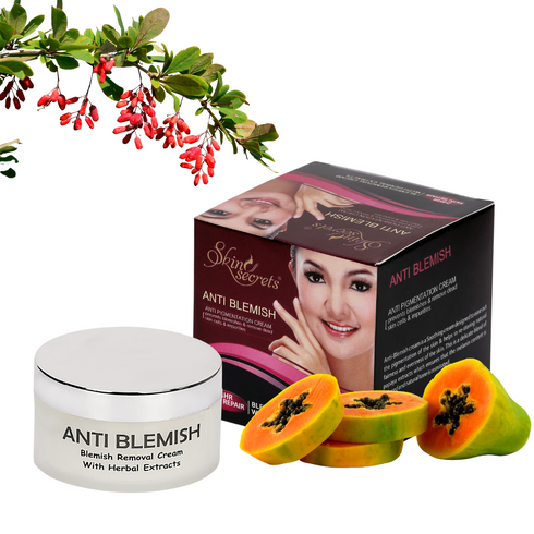 Skin secrets Anti Blemish Cream