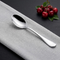 Vinod Decora Stainless Steel Dessert Spoon Set of 12 Piece Heavy Gauge Steel Mirror Finish Rust Free Tough Strong and Durable
