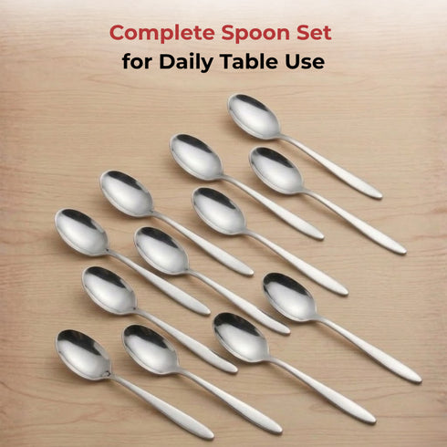 Vinod Florence Stainless Steel Baby Spoon Set of 12 Piece Heavy Gauge Steel Mirror Finish Rust Free Tough Strong and Durable