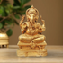 Brass Ganesh Ji Statue 0.88Kg