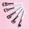 Praush 5 Pcs Essentials Face Brush Set