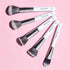 Praush 5 Pcs Essentials Face Brush Set