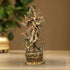 Brass Krishna Colour Statue 2.95Kg