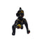 Tamas Brass Black Laddu Gopal - Thakur Ji Statue/Idol