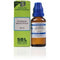 SBL Echinacea Angustifolia Dilution 30 CH