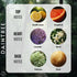 Forest Hill Daintree Eau De Parfum