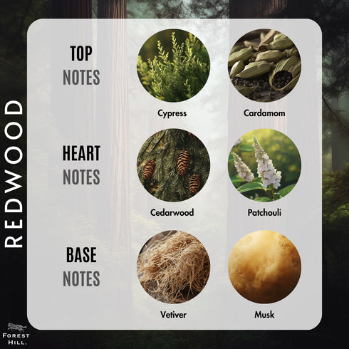 Forest Hill Redwood Eau De Parfum