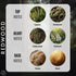 Forest Hill Redwood Eau De Parfum