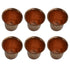 Brass Embossed Glass Set of 6 76g Pack of 6