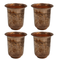 Brass Embossed Glass Set of 4 76g Pack of 4