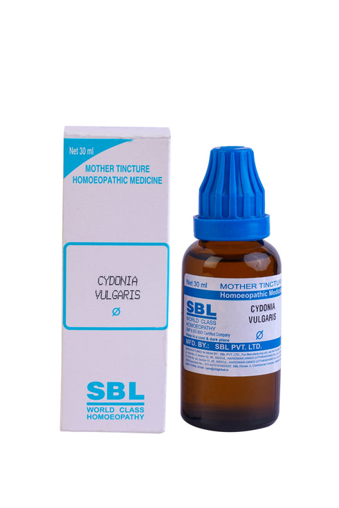 SBL Cydonia Vulgaris Mother Tincture Q