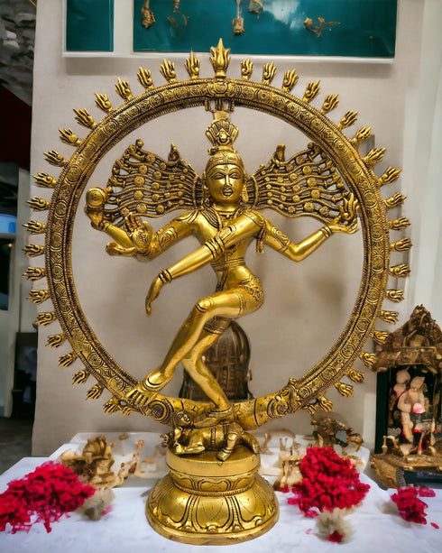 Tamas Brass Natrajaa Shiva Dancing God Statue
