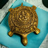 Tamas Brass Kurma Avatar Good Luck Tortoise Statue