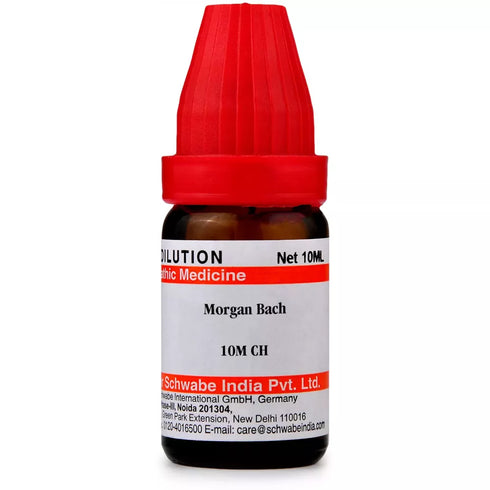 Dr Willmar Morgan Bach|10ml
