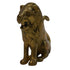 Premium Brass Lion Idol 250g Pack of 1