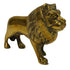 Brass Lion Idol for Home Decor 467g Pack of 1