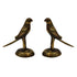 Brass Parrot Statue for Home Decor 55g Pack of 2
