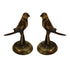 Brass Parrot Statue for Home Decor 55g Pack of 2