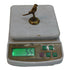 Brass Parrot Statue for Home Decor 55g Pack of 2