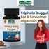 Jeena Sikho Triphala Guggul Tablets