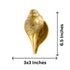 Brass Vishnu Lakshmi Shankh (Conch) 1137g