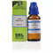 SBL Apis Mellifica 10M CH