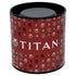 Titan Quartz Analog White Dial Golden Metal Strap Watch For Women