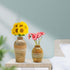 Behoma Bulb & Bud Vase Set