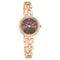 Titan Lagan Brown Dial Analog Metal Strap Watch for Women