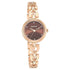 Titan Lagan Brown Dial Analog Metal Strap Watch for Women