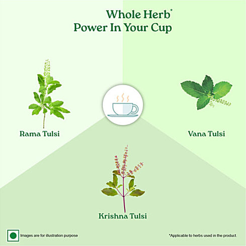 Organic India Tulsi Green Tea Classic