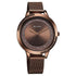 Titan Razzle Dazzle Quartz Analog Brown Dial Stainless Steel Mesh Strap Watch For Women