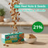 Early Foods Foxtail Almond Jaggery Cookies
