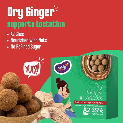Early Foods Dry Ginger Ghee Laddoos
