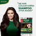 Streax Insta Shampoo Hair Colour - Natural Brown
