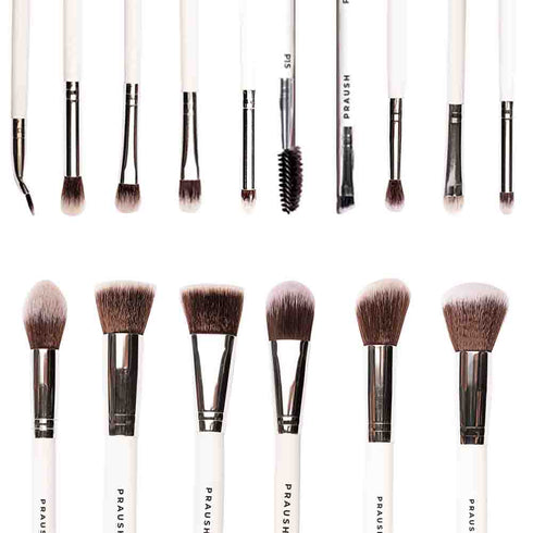 Praush 16 Pcs Professional Makeup Brush Set (Face + Eyes)