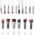 Praush 16 Pcs Professional Makeup Brush Set (Face + Eyes)