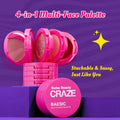 Swiss Beauty Craze Baesic Multi-Face Palette
