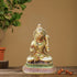 Brass Hanuman Ji Statue 1.6Kg