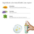 Shankara soothing body oil