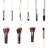 Praush 9 Pcs Professional Makeup Brush Set (Face + Eye)